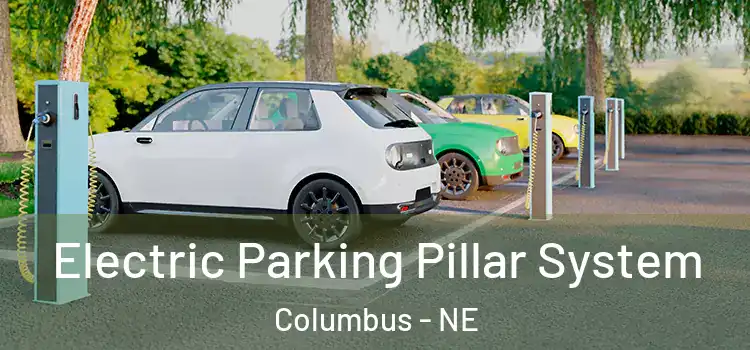 Electric Parking Pillar System Columbus - NE